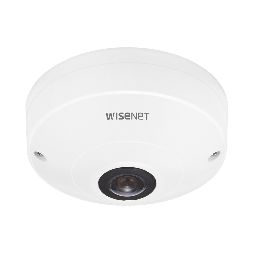 Camara IP Fish Eye Interior 12 Megapixel / WDR 120dB / PTZ Digital 8X / Video Analíticos / MicroSD / H.265 - Imagen 2